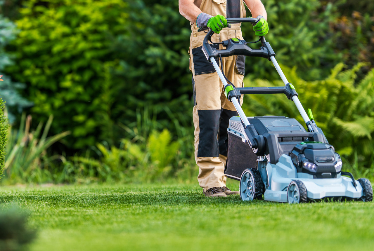 Paysagistes jardiniers entretien de gazon et jardins var